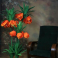 LIELIZMĒRA DECO SIA